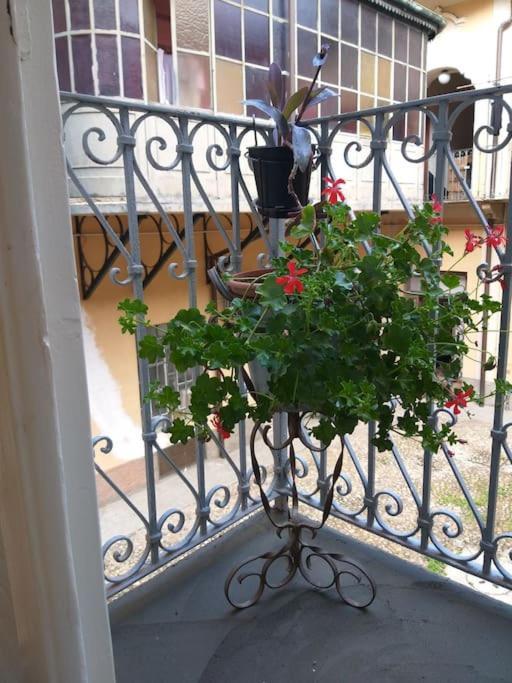 La Falconiera Vigevano Ngoại thất bức ảnh